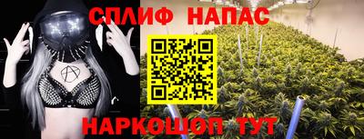 амф Новокубанск