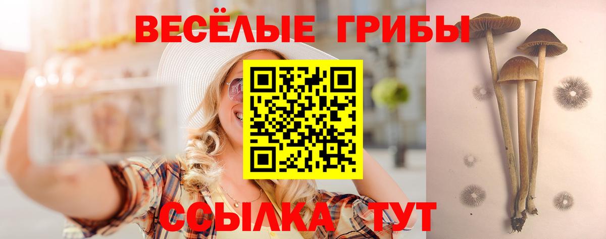 Спасск-Дальний  магазин  наркотиков  Вход с VPN  Псилоцибиновые грибы MAGIC MUSHROOMS 